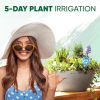 Plant Watering Globes Set of 4   Small Self Watering Globes for Indoor & Outdoor Plants   Multicolored Automatic Glass Watering Bulbs for Everyday Use