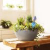Plant Watering Globes Set of 4   Small Self Watering Globes for Indoor & Outdoor Plants   Multicolored Automatic Glass Watering Bulbs for Everyday Use