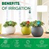 Plant Watering Globes Set of 4   Small Self Watering Globes for Indoor & Outdoor Plants   Multicolored Automatic Glass Watering Bulbs for Everyday Use